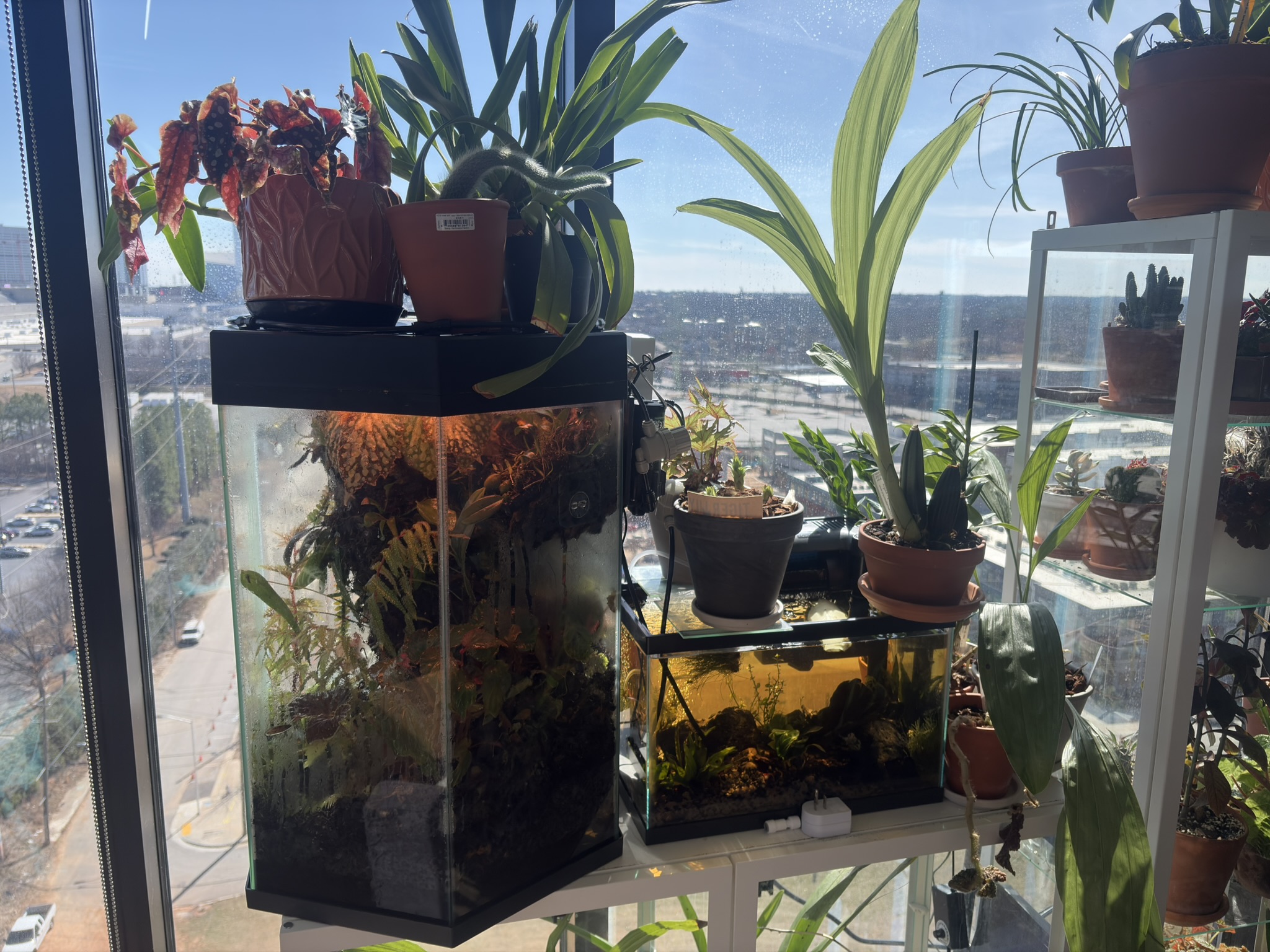 Pot terrarium control loops