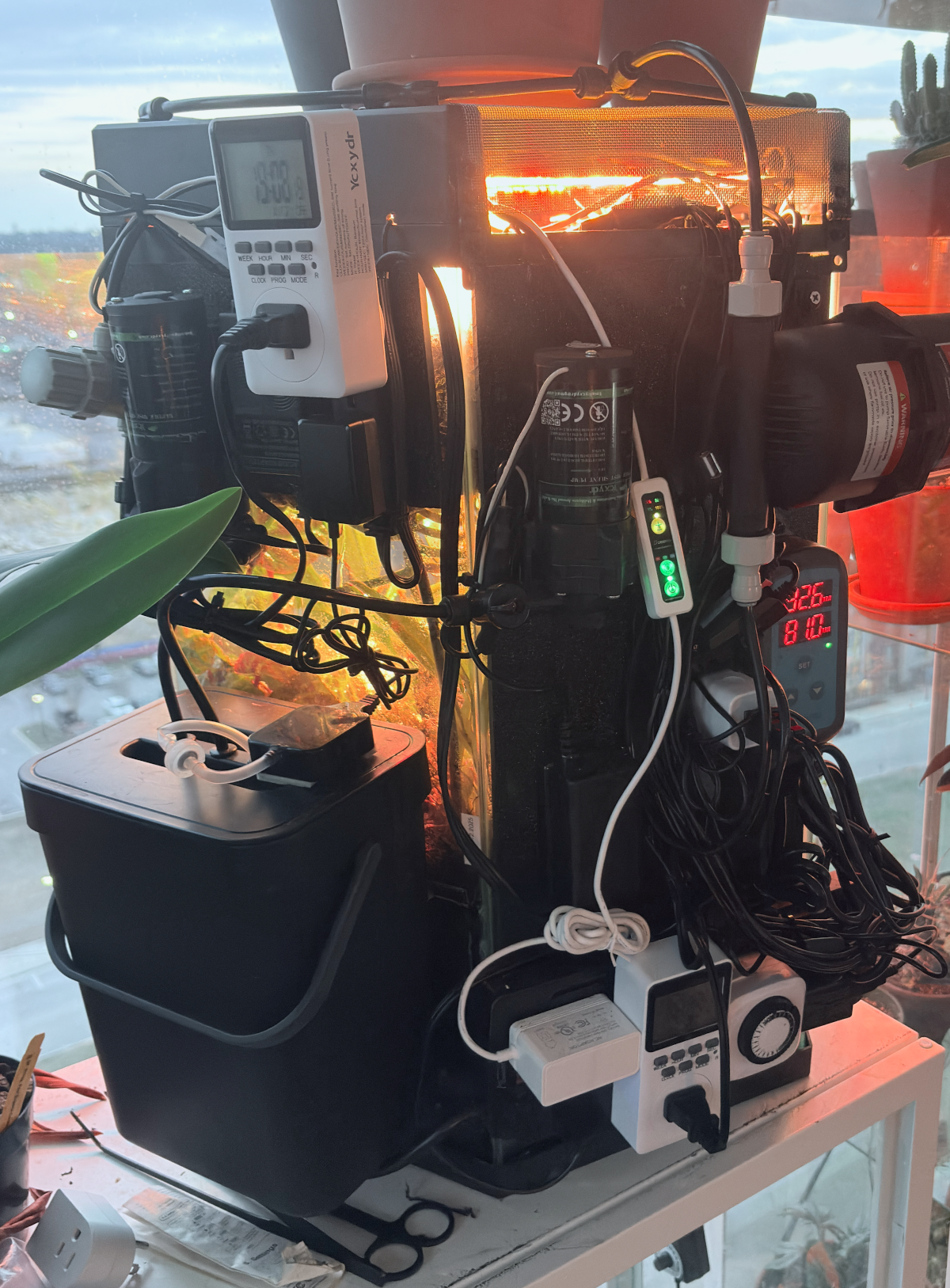 Back of the terrarium